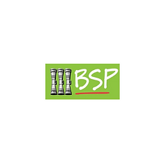 bsp