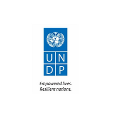 undp